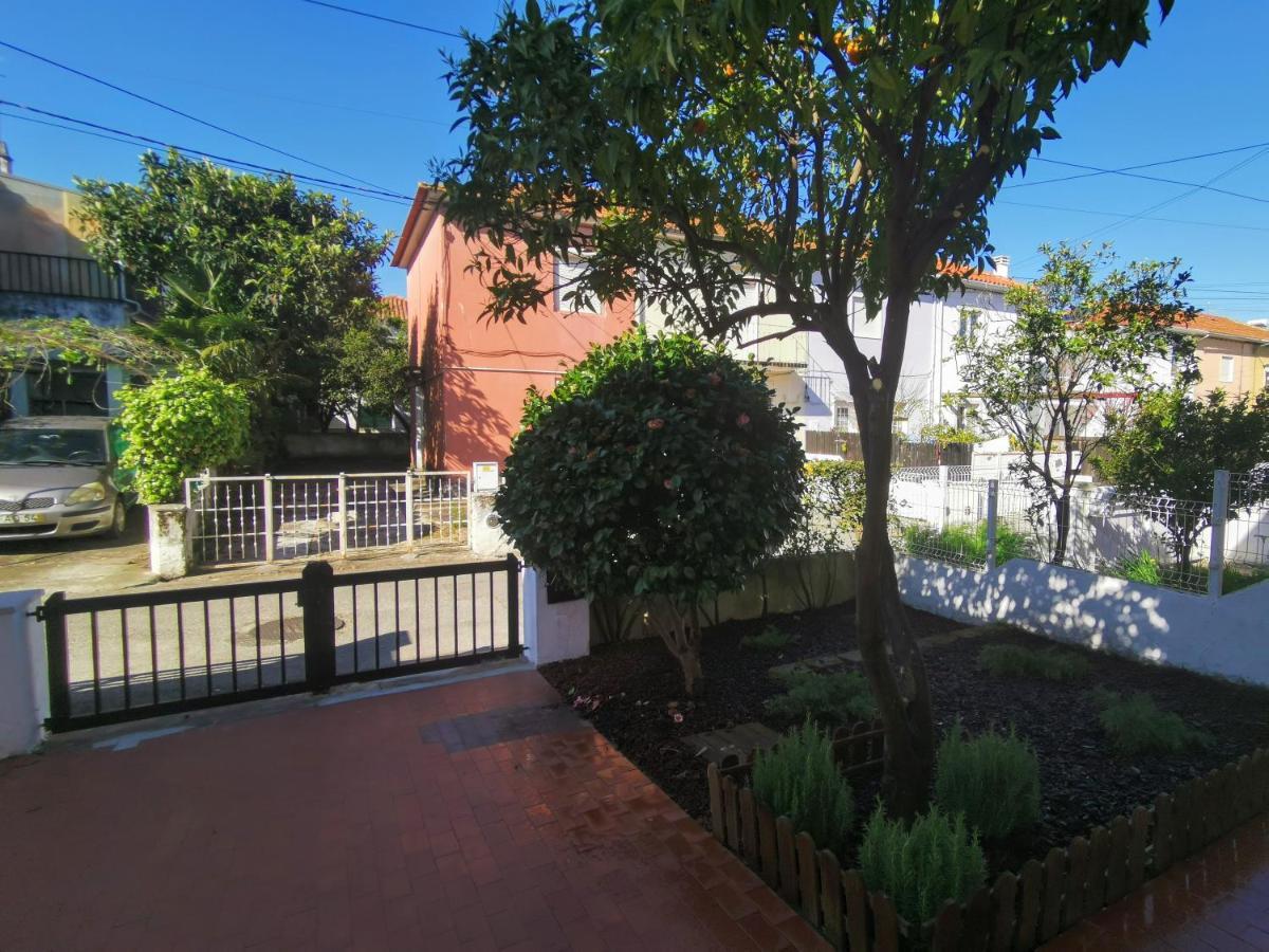 Villa Coimbra - Casa Inteira Dış mekan fotoğraf