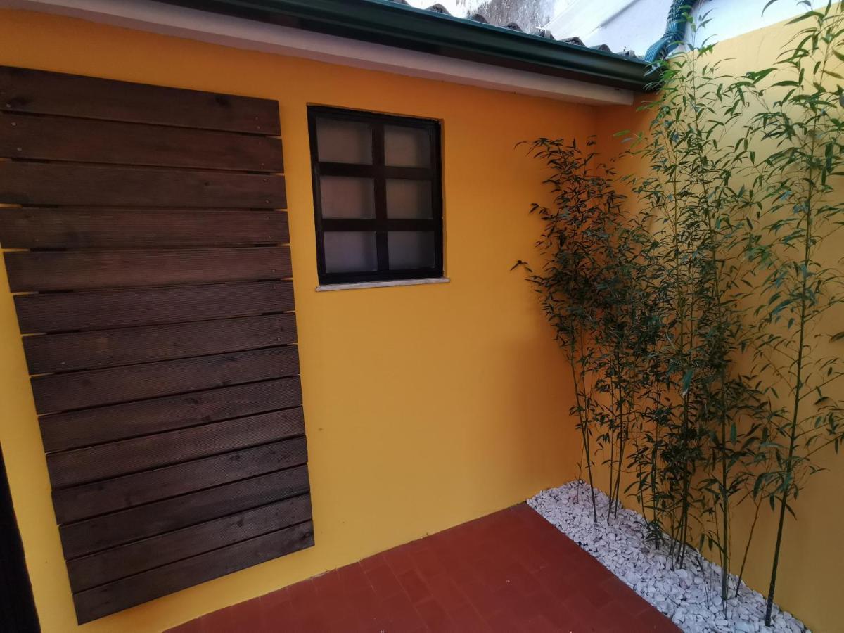 Villa Coimbra - Casa Inteira Dış mekan fotoğraf
